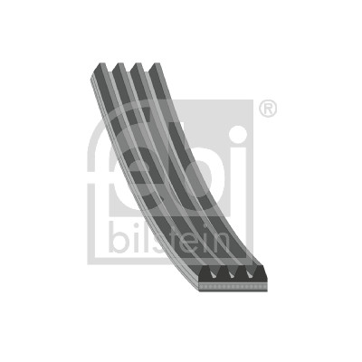 Cinghia Poly-V - 38440 FEBI BILSTEIN