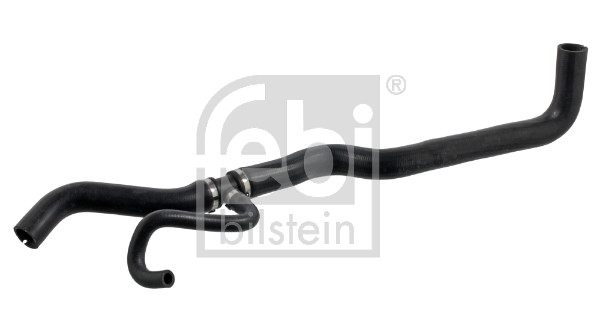 Flessibile radiatore - 38591 FEBI BILSTEIN