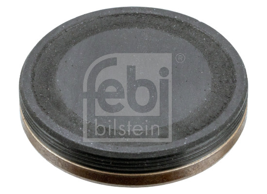 Locking Cover, camshaft - 38867 FEBI BILSTEIN