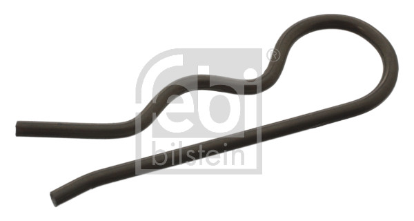 Copiglia, Filtro carburante (Termostato) - 40607 FEBI BILSTEIN