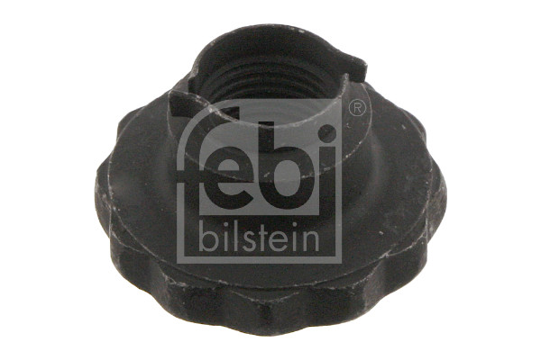 Dado, Fuso dell'asse - 46689 FEBI BILSTEIN