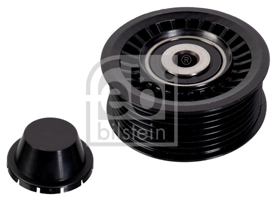 Galoppino/Guidacinghia, Cinghia Poly-V - 49367 FEBI BILSTEIN