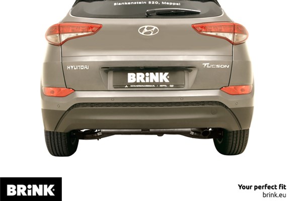 Gancio traino - 613800 BRINK