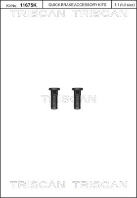 Screw Set, brake disc - 8105 116016 TRISCAN