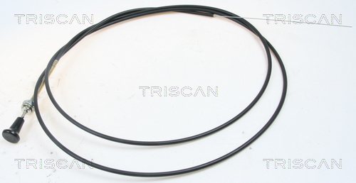 Choke Shaft, carburettor - 8140 91003 TRISCAN