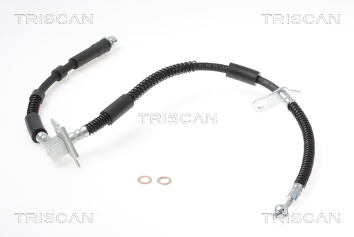 Flessibile del freno - 8150 17305 TRISCAN