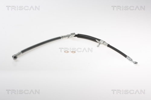 Flessibile del freno - 8150 18138 TRISCAN
