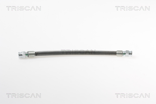 Flessibile del freno - 8150 18200 TRISCAN