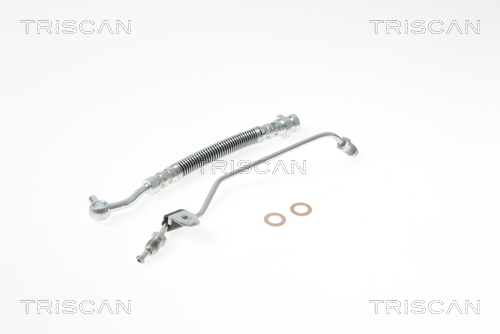 Brake Hose - 8150 18229 TRISCAN