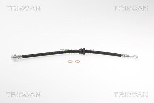 Flessibile del freno - 8150 21101 TRISCAN