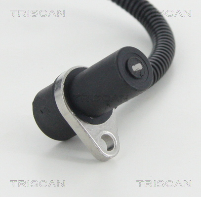 Sensor, wheel speed - 8180 21110 TRISCAN