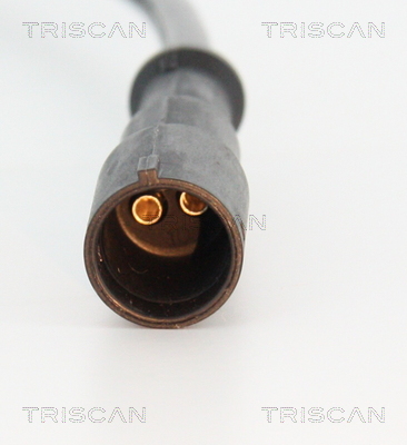 Sensor, wheel speed - 8180 25219 TRISCAN