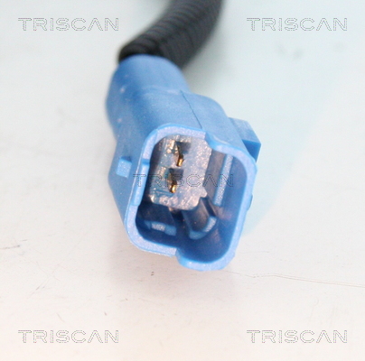 Sensor, wheel speed - 8180 28107 TRISCAN