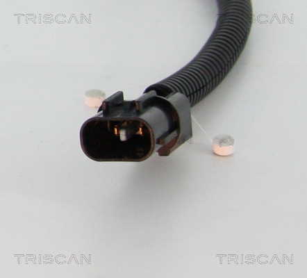 Sensor, wheel speed - 8180 43179 TRISCAN