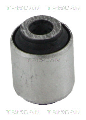 Supporto, Braccio oscillante - 8500 10874 TRISCAN