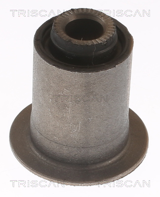 Supporto, Braccio oscillante - 8500 13883 TRISCAN