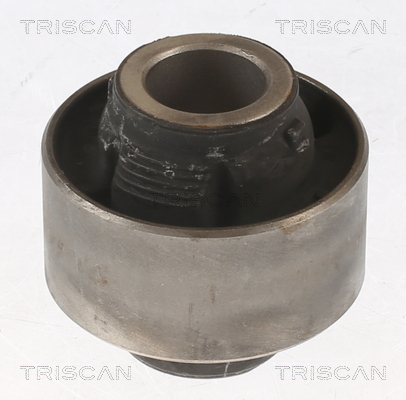 Supporto, Braccio oscillante - 8500 14828 TRISCAN