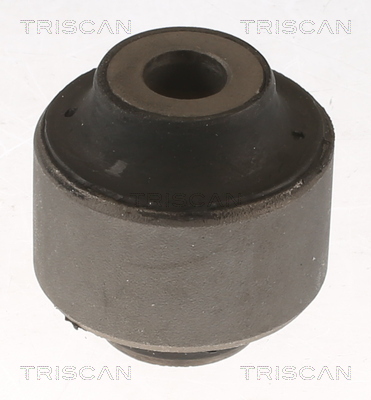 Supporto, Braccio oscillante - 8500 14829 TRISCAN