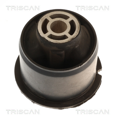 Supporto, Corpo assiale - 8500 16888 TRISCAN