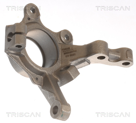 Steering Knuckle, wheel suspension - 8500 25702 TRISCAN