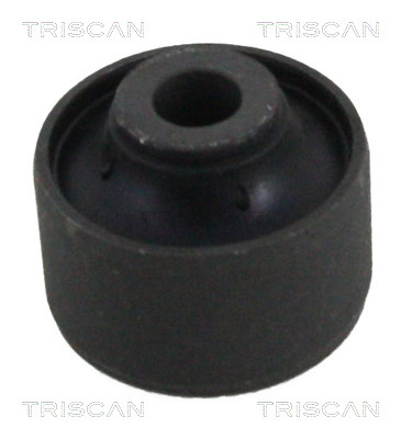 Supporto, Braccio oscillante - 8500 25828 TRISCAN