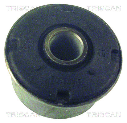 Supporto, Braccio oscillante - 8500 2799 TRISCAN
