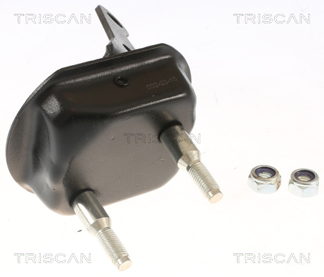 Supporto cuscinetto, Corpo assiale - 8500 28534 TRISCAN