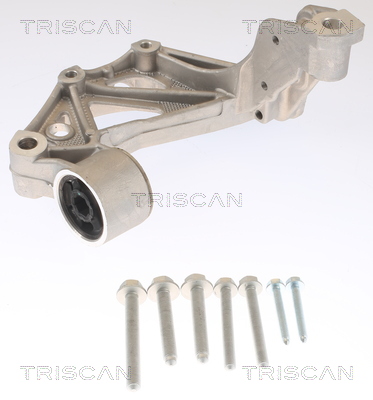 Supporto cuscinetto, Corpo assiale - 8500 295261 TRISCAN