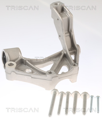 Supporto cuscinetto, Corpo assiale - 8500 295262 TRISCAN