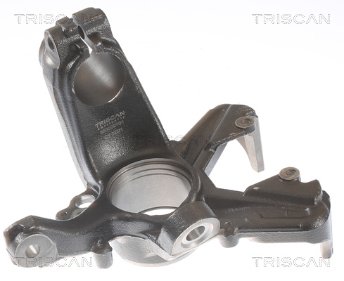 Fuso a snodo, Sospensione ruota - 8500 29701 TRISCAN