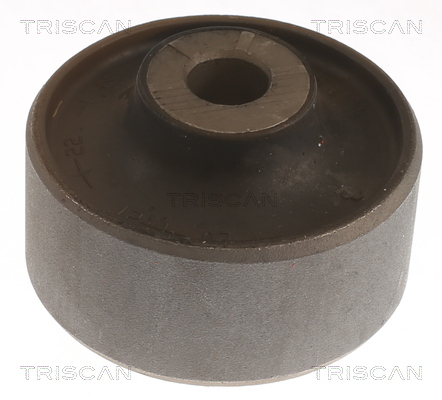 Supporto, Braccio oscillante - 8500 298084 TRISCAN