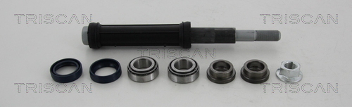 Suspension Kit - 8500 38401 TRISCAN