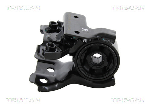 Supporto, Braccio oscillante - 8500 40811 TRISCAN