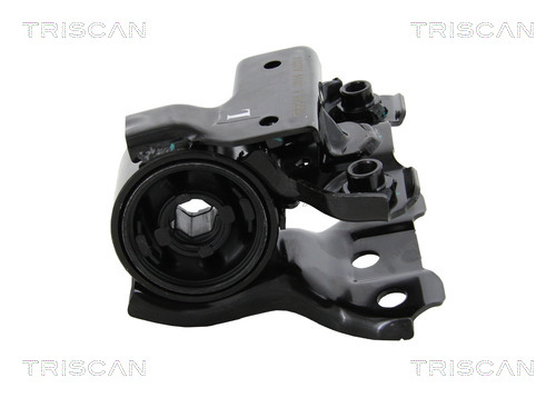 Supporto, Braccio oscillante - 8500 40812 TRISCAN