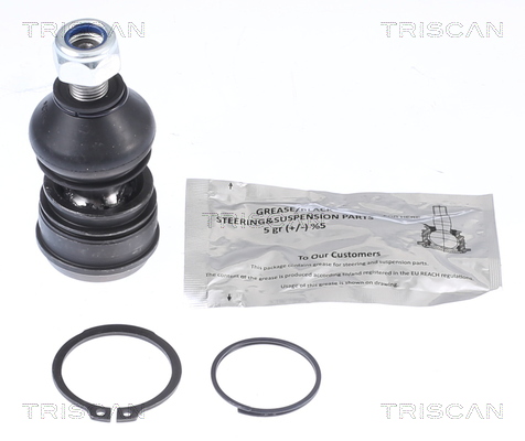 Giunto di supporto / guida - 8500 42561 TRISCAN
