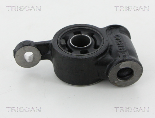 Supporto, Braccio oscillante - 8500 50828 TRISCAN