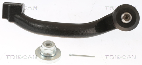 Braccio oscillante, Sospensione ruota - 8500 60503 TRISCAN