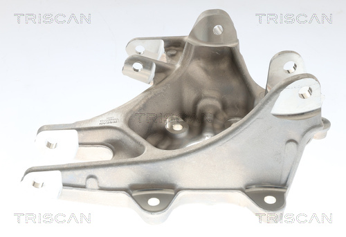 Fuso a snodo, Sospensione ruota - 8500 81714 TRISCAN