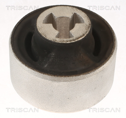 Supporto, Braccio oscillante - 8500 81804 TRISCAN