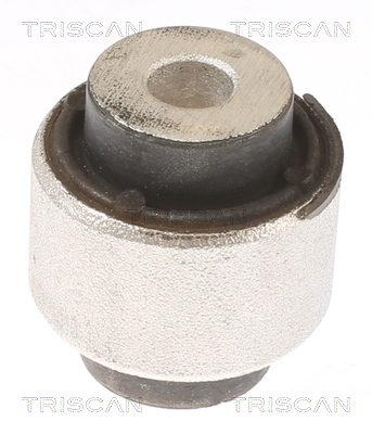 Supporto, Braccio oscillante - 8500 81805 TRISCAN