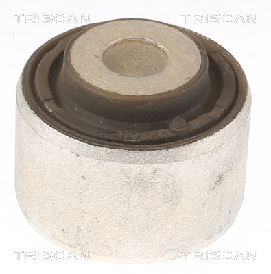 Supporto, Braccio oscillante - 8500 81808 TRISCAN