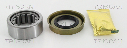 Kit cuscinetto ruota - 8530 16268 TRISCAN