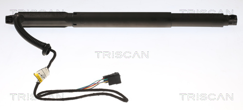 Gas Spring, boot-/cargo area - 8710 11301 TRISCAN