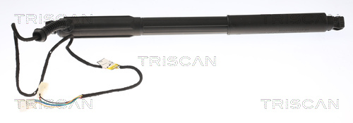 Gas Spring, boot-/cargo area - 8710 11304 TRISCAN