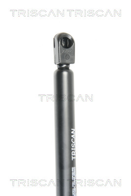 Газовая пружина, заднее стекло - 8710 16251 TRISCAN