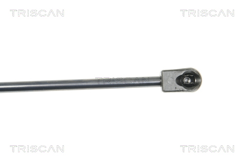 Газовая пружина, заднее стекло - 8710 16251 TRISCAN