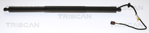 Gas Spring, boot-/cargo area - 8710 20301 TRISCAN
