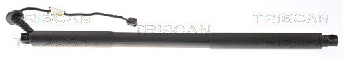 Gas Spring, boot-/cargo area - 8710 27305 TRISCAN