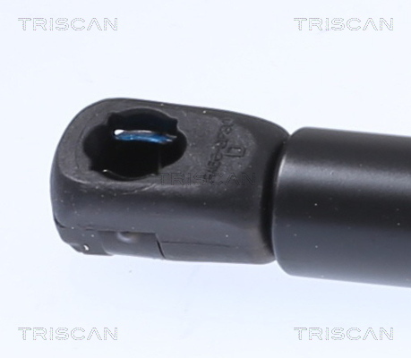 Газовая пружина, капот - 8710 29153 TRISCAN