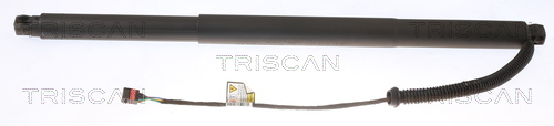 Ammortizatore pneumatico, Cofano bagagli /vano carico - 8710 29304 TRISCAN